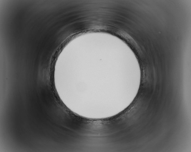X0000088650828200705250940