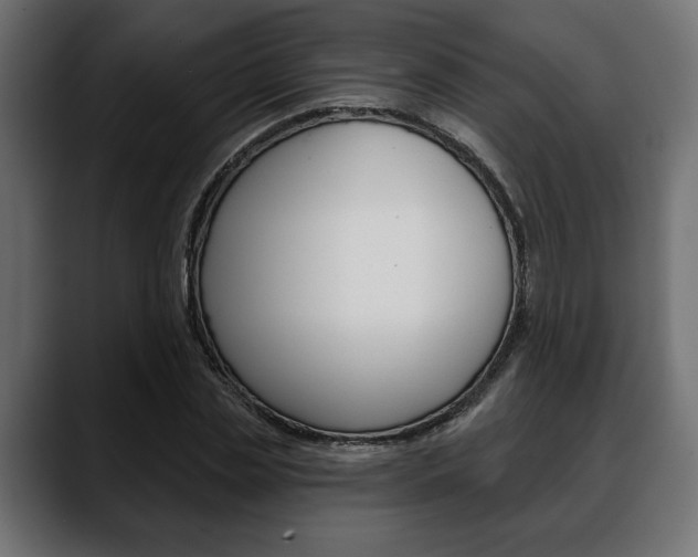 X0000088650829200705250940