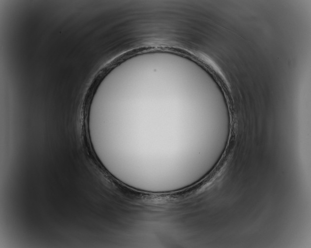 X0000088650831200705250940