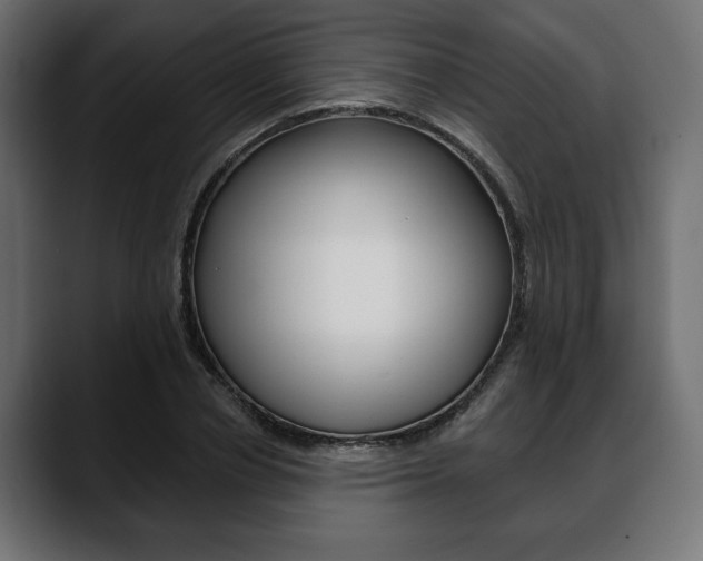 X0000088650834200705250940