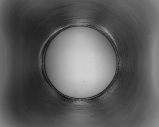 X0000088650835200705250940