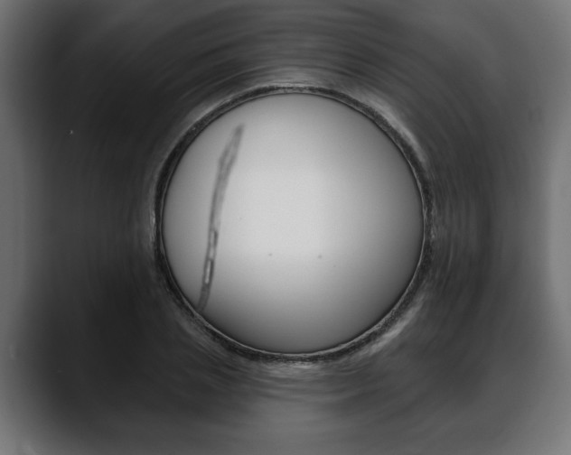 X0000088650837200705250940