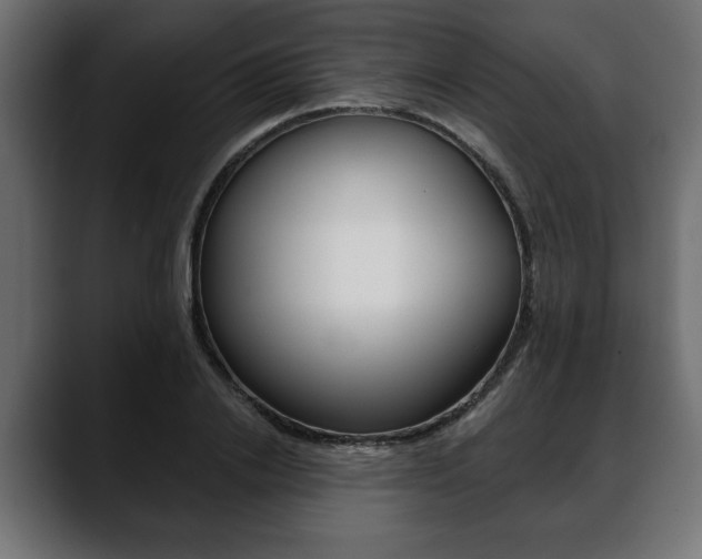 X0000088650838200705250940