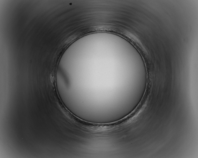 X0000088650841200705250940