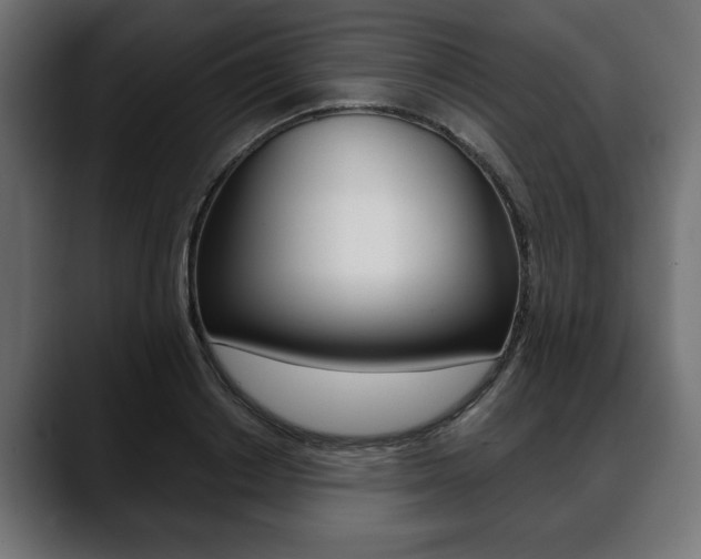 X0000088650842200705250940