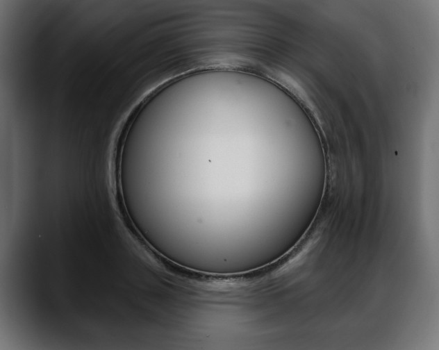 X0000088650843200705250940