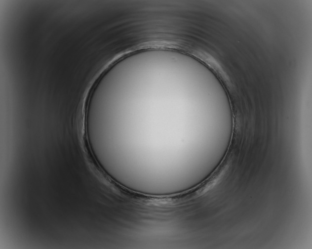 X0000088650844200705250940