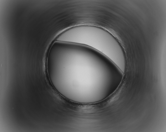 X0000088650846200705250940