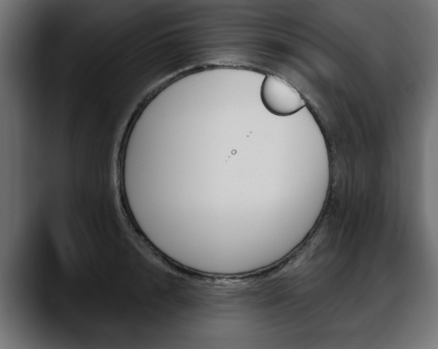 X0000088650848200705250940