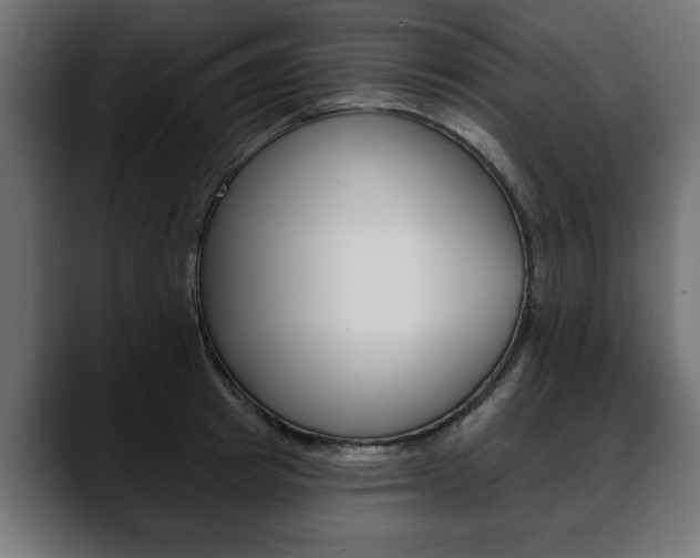 X0000088650849200705250940