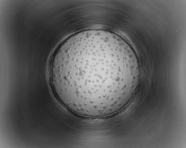 X0000088650851200705250940