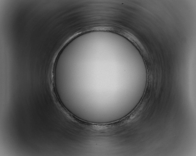 X0000088650852200705250940