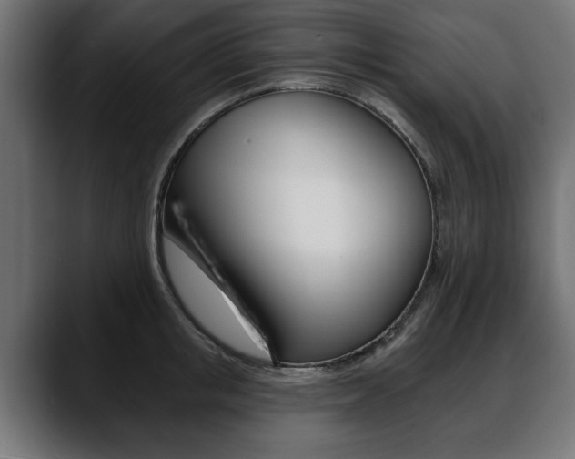 X0000088650853200705250940