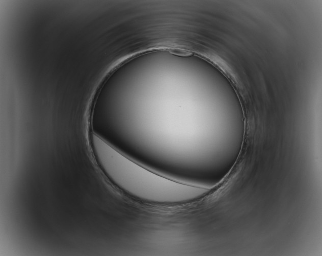 X0000088650854200705250940
