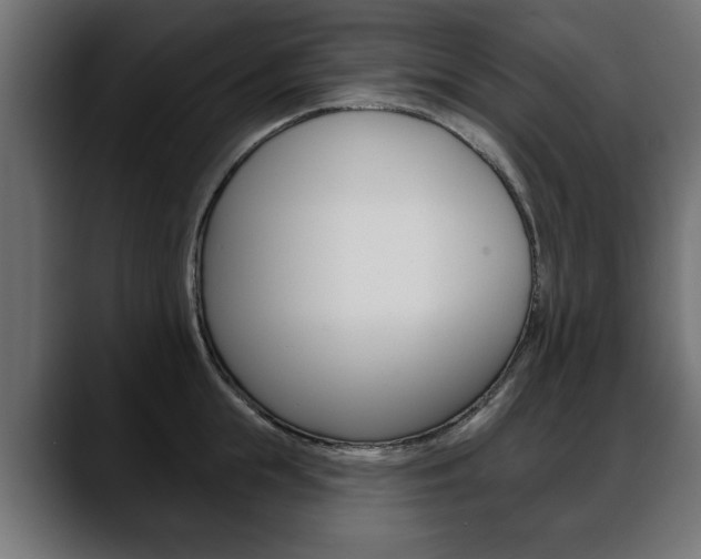 X0000088650855200705250940