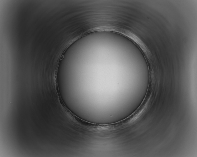 X0000088650857200705250940