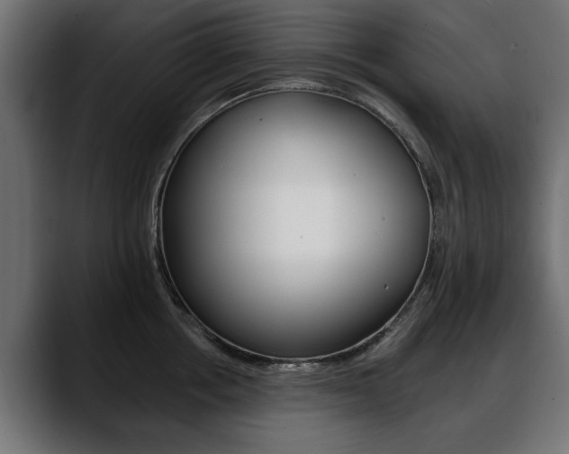 X0000088650858200705250940