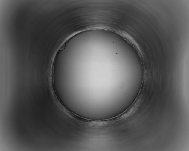 X0000088650860200705250940