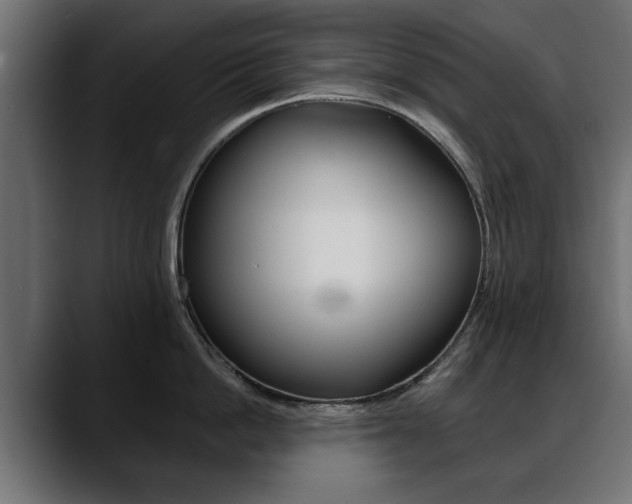 X0000088650862200705250940
