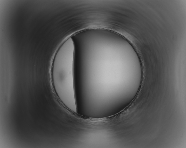 X0000088650864200705250940