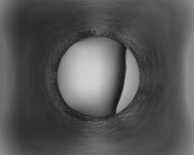 X0000088650865200705250940