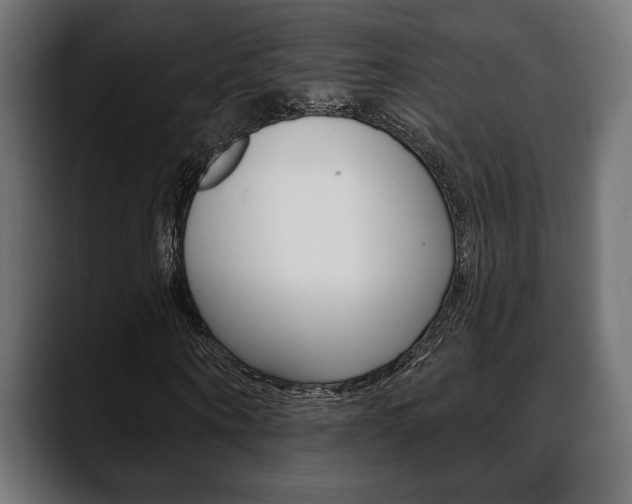 X0000088650866200705250940