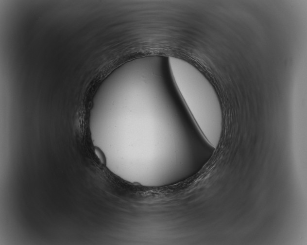 X0000088650867200705250940