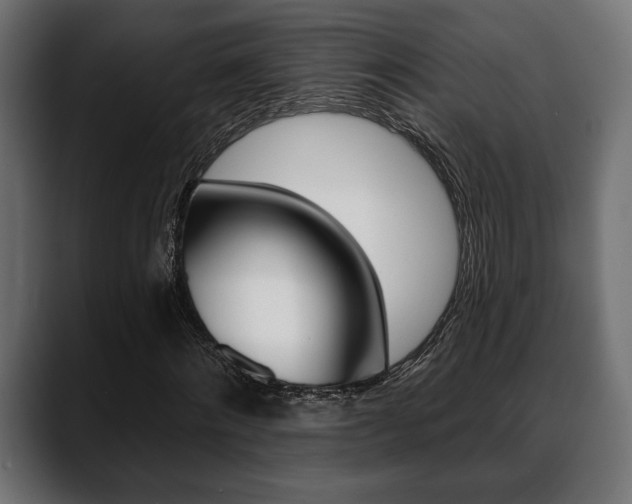 X0000088650868200705250940