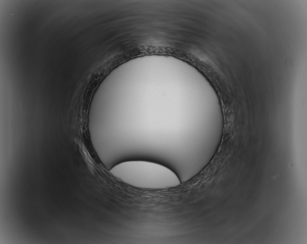 X0000088650870200705250940