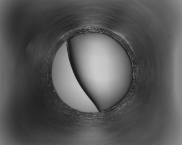 X0000088650871200705250940