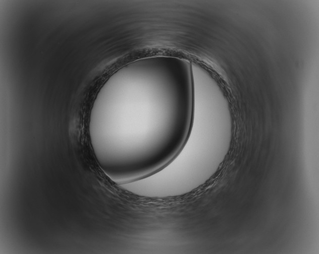 X0000088650872200705250940