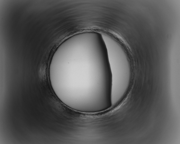 X0000088650873200705250940