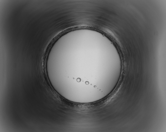X0000088650875200705250940