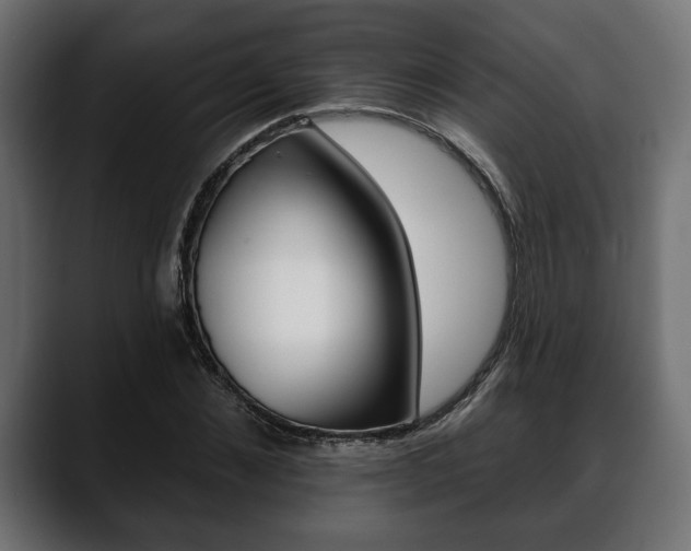 X0000088650876200705250940