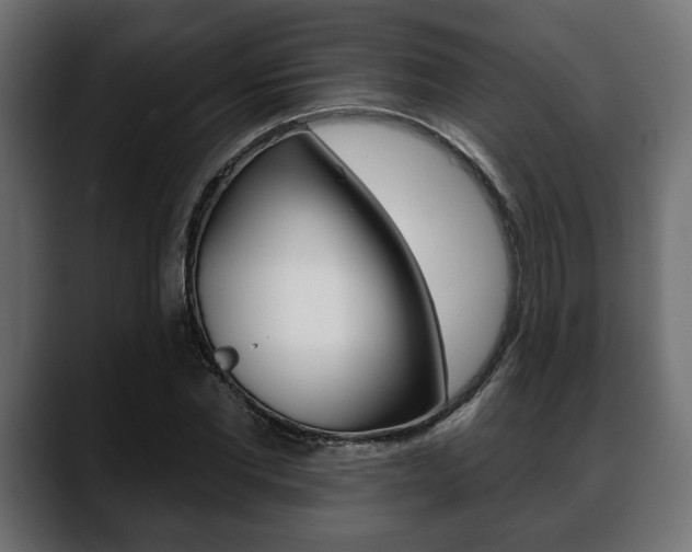X0000088650877200705250940
