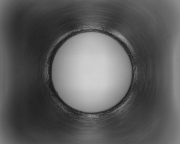 X0000088650878200705250940