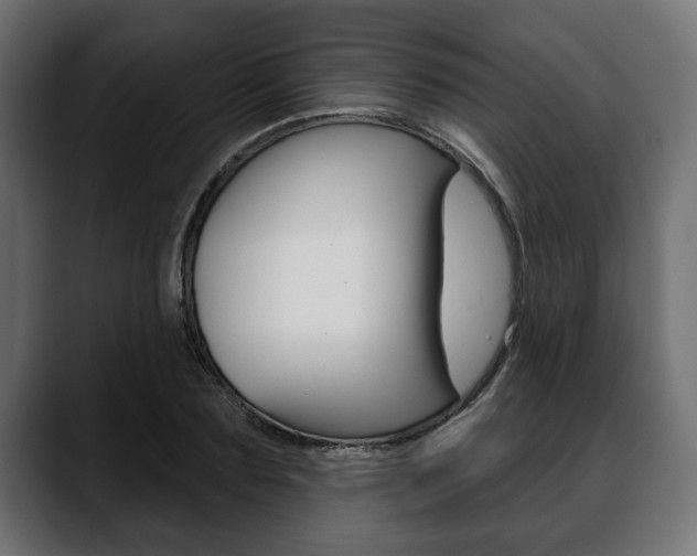 X0000088650883200705250939