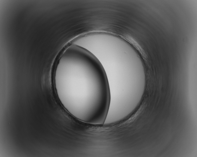 X0000088650884200705250939