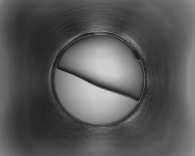 X0000088650885200705250939