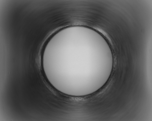 X0000088650886200705250939