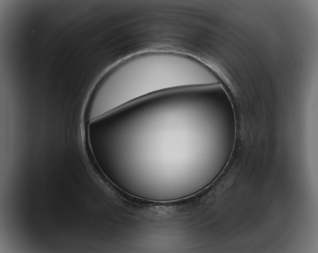 X0000088650888200705250939