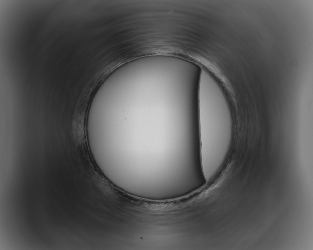 X0000088650889200705250939