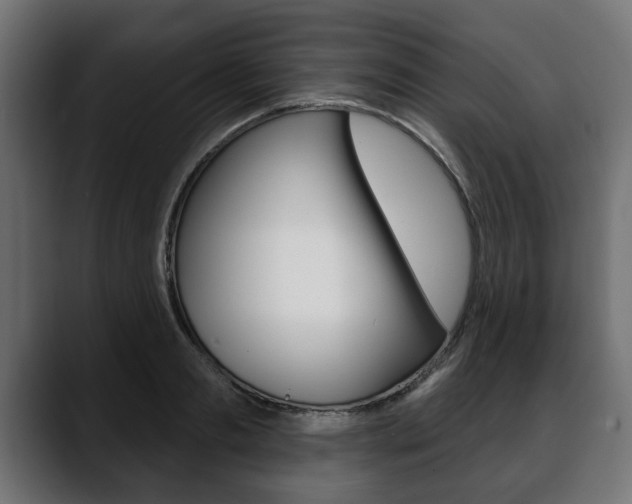 X0000088650893200705250939