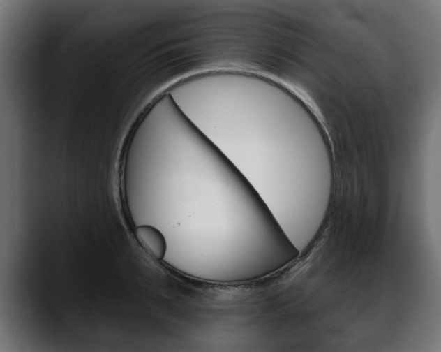 X0000088650895200705250939