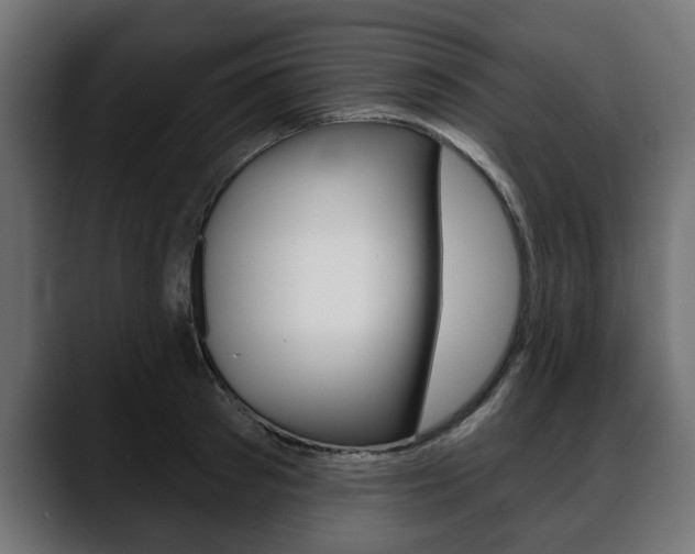 X0000088650897200705250939