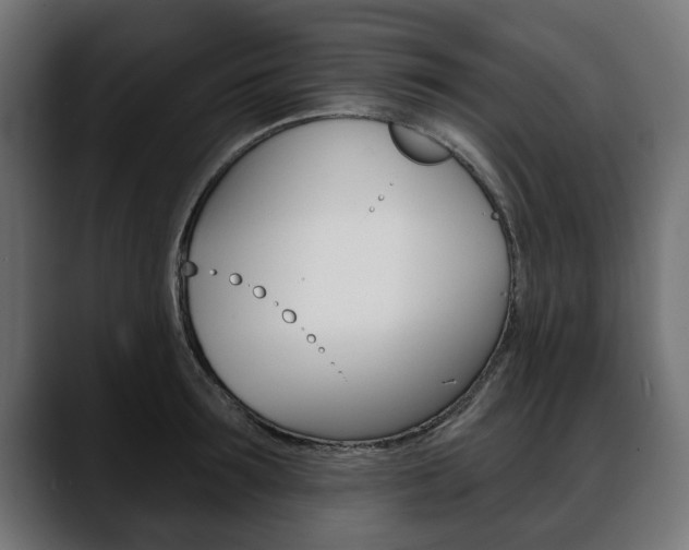 X0000088650899200705250939