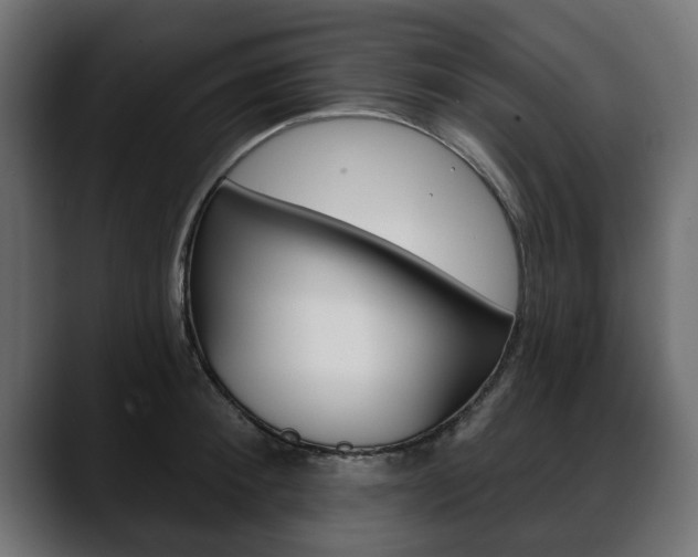 X0000088650900200705250939