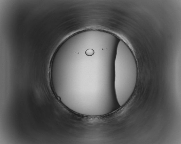 X0000088650903200705250939