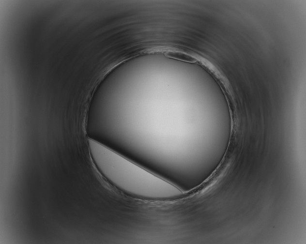 X0000088650905200705250939