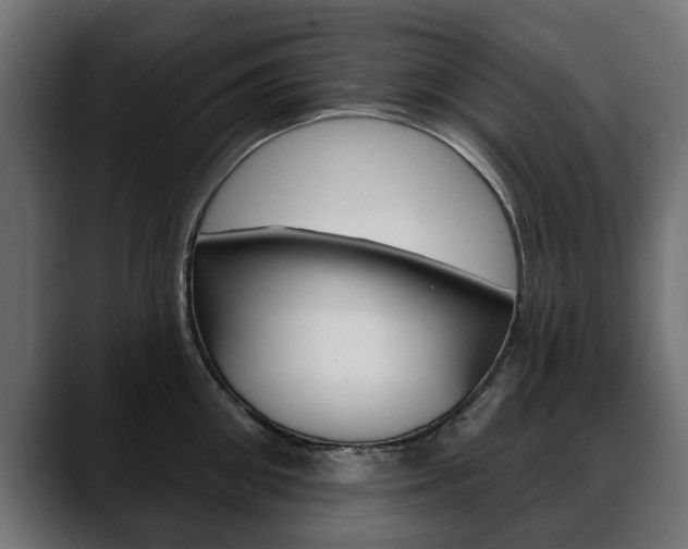 X0000088650906200705250939